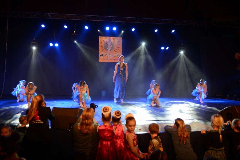 ../Images/Dansmarieke Festival 2016 247.jpg